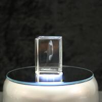 3D-Glas-Cube-Orca, versch. Größen