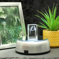 3D-Glas-Cube-Papagei, versch. Größen