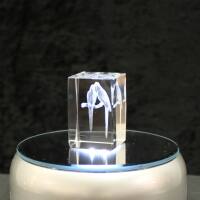 3D-Glas-Cube-Papagei, versch. Größen