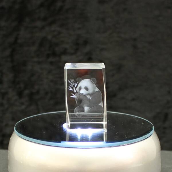 3D-Glas-Cube-Panda, versch. Größen