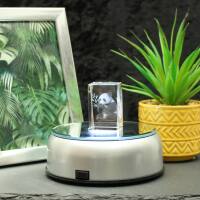 3D-Glas-Cube-Panda, versch. Größen