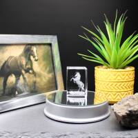 3D-Glas-Cube-aufst. Pferd, versch. Größen