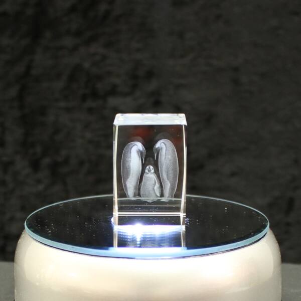 Crystal cuboid block, motif Penguins