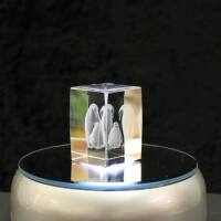 Crystal cuboid block, motif Penguins