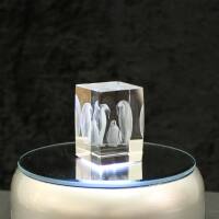 Crystal cuboid block, motif Penguins