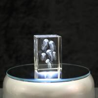 3D-Glas-Cube-Qualle, versch. Größen