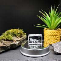 3D-Glas-Cube-T-Rex, versch. Größen