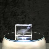 3D-Glas-Cube-Seehund, versch. Größen