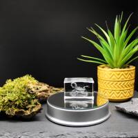 3D-Glas-Cube-Scorpion, versch. Größen