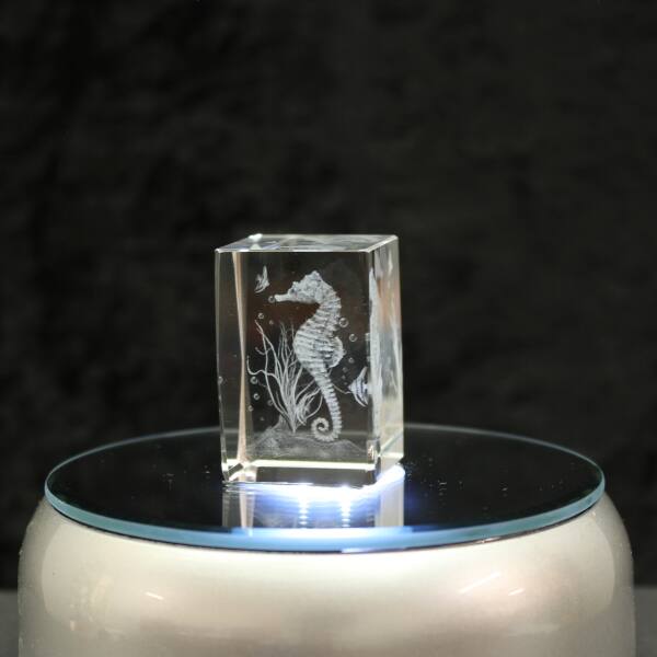 3D-Glas-Cube-Seepferdchen, versch. Größen