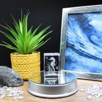 3D-Glas-Cube-Seepferdchen, versch. Größen