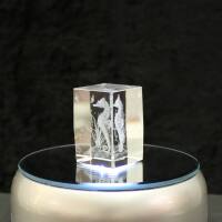 3D-Glas-Cube-Seepferdchen, versch. Größen