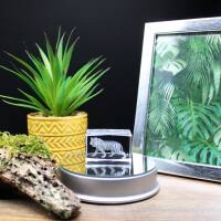 3D-Glas-Cube-Tiger, versch. Größen