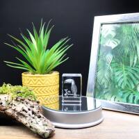 3D-Glas-Cube-Tucan, versch. Größen