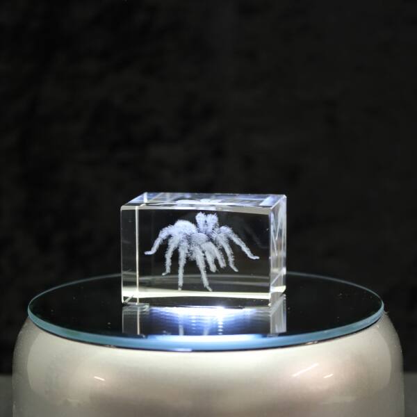 3D-Glas-Cube-Vogelspinne, versch. Größen