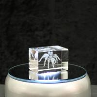 3D-Glas-Cube-Vogelspinne, versch. Größen