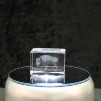 3D-Glas-Cube-Wisent, versch. Größen