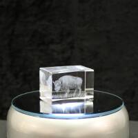 3D-Glas-Cube-Wisent, versch. Größen