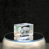 3D-Glas-Cube-Wisent, versch. Größen