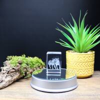 3D-Glas-Cube-2 Wölfe, versch. Größen