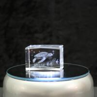 3D-Glas-Cube-Wasserschildkröte, versch....