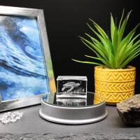 3D-Glas-Cube-Wasserschildkröte, versch....