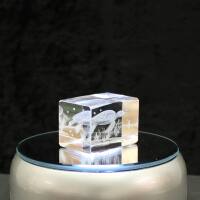 Crystal cuboid block, motif Waterturtle