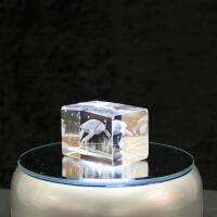Crystal cuboid block, motif Waterturtle