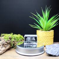 3D-Glas-Cube-Wildschwein, versch. Größen