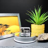 3D-Glas-Cube-Zebra mit Fohlen, versch. Größen