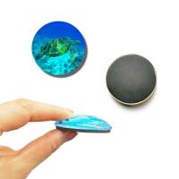 Strong, colorful, round glass magnets, motif Sea Animals