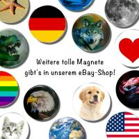 Strong, colorful, round glass magnets, motif Sea Animals