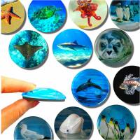 Strong, colorful, round glass magnets, motif Sea Animals