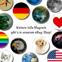 Strong, colorful, round glass magnets, motif Sea Animals