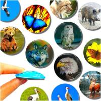 Glas Magnet- Wald Tiere