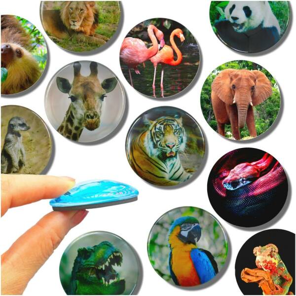 Glas Magnet- Zoo Tiere