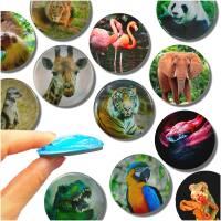 Glas Magnet- Zoo Tiere