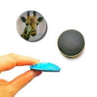 Glas Magnet- Zoo Tiere