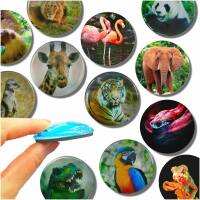 Glas Magnet- Zoo Tiere