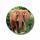 Elefant